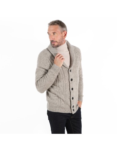 gilet homme laine boutons